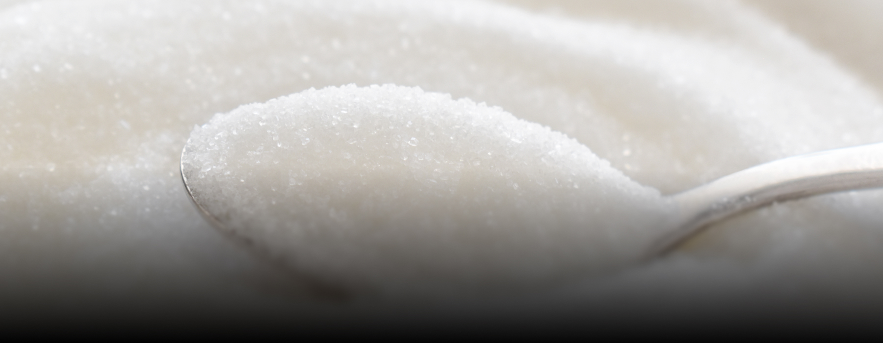 Thermax’s ESP services restore emissions efficiency for a sugar manufacturer