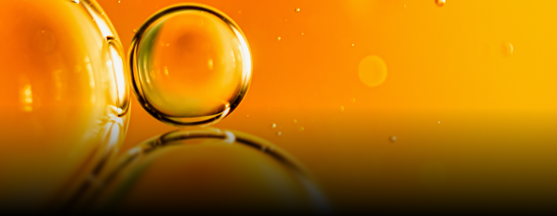 Thermax’s electrostatic precipitator enhances emission control for a palm oil manufacturer