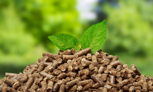 Thermax becomes the first Indian boiler supplier to biomass-based power project in Thailand
