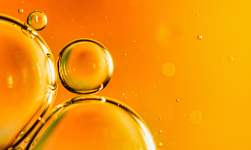 Thermax’s electrostatic precipitator enhances emission control for a palm oil manufacturer