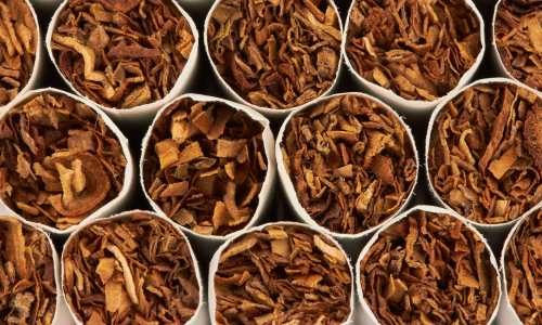 Thermax powers a biomass shift for a tobacco plant