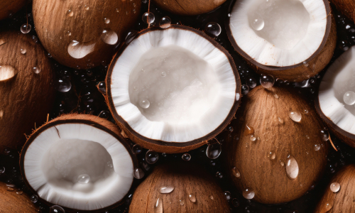 Thermax’s absorption chiller helps boost operational efficiency in coconut processing