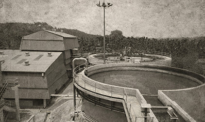 1975