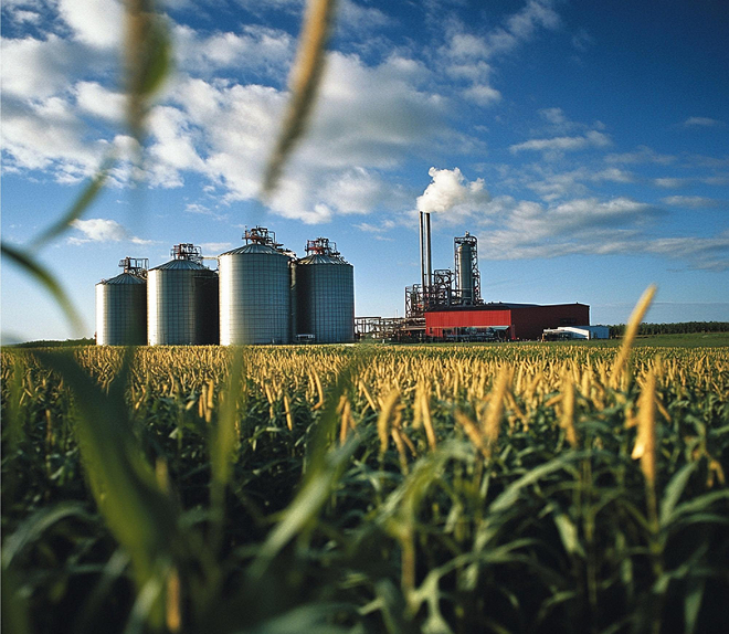 Biofuels and Bioprocessing