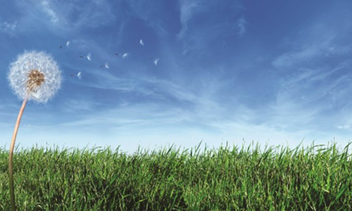 Cleaner Technologies for a Greener Tomorrow