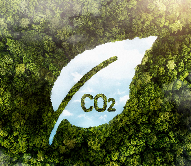 Carbon Capture and Upcycling